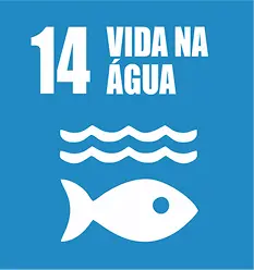 SAF_PROJETOS01 2